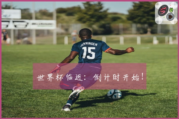 世界杯临近：倒计时开始！